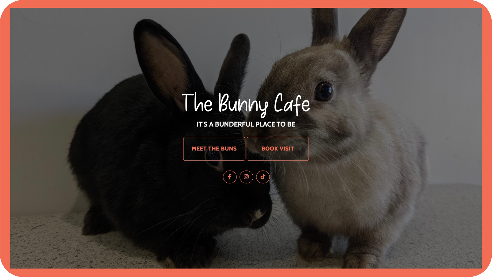 A website with two bunnies together as a background